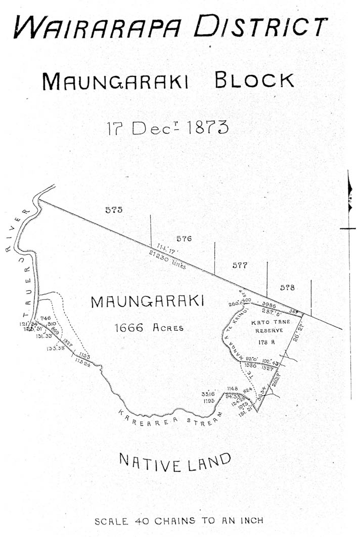 map-Tur02PlanP144a[1] Maungaraki Block 